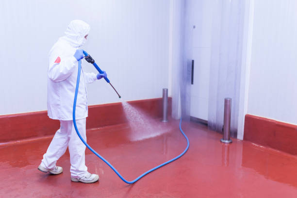 Boat and Dock Cleaning in Taft Southwest, TX